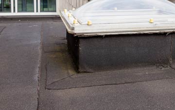 disadvantages of Drumfearn flat roofs