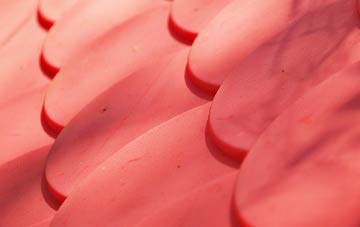 Drumfearn plastic roof costs