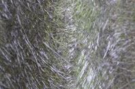 Drumfearn fibreglass roof work